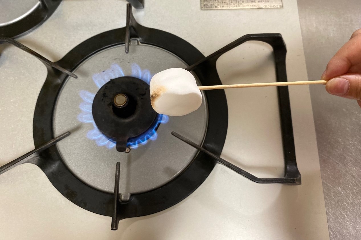 小学生の自由研究に 親子で 火のパワーとエコ マシュマロをあぶってみよう 東京ガス都市生活研究所 東京ガス ウチコト 小学生の自由研究に 親子で 火のパワーとエコ マシュマロをあぶってみよう 東京ガス都市生活研究所 東京ガス ウチコト