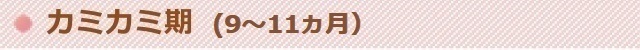 カミカミ期(9~11ヶ月)