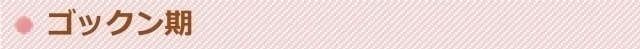 Retina %e3%82%b4%e3%83%83%e3%82%af%e3%83%b3