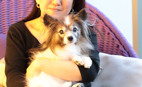 犬