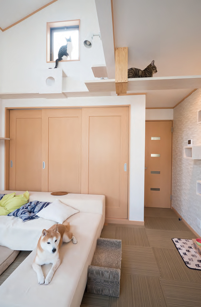 猫と犬のいる部屋