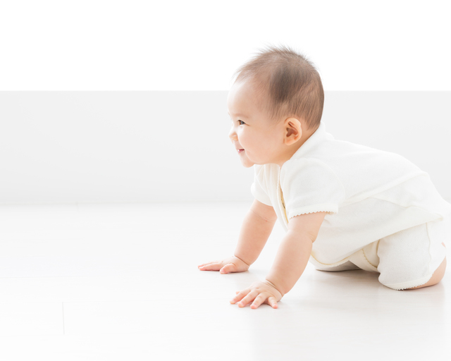ハイハイをしようとする赤ちゃん