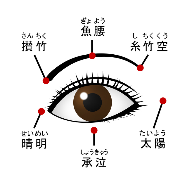 Retina pixta 9245552 s