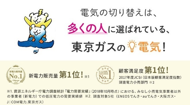 東京ガスの電気