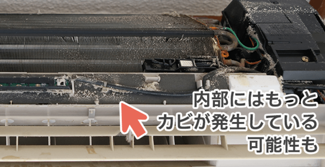 Retina ph lp 00001 q3 01