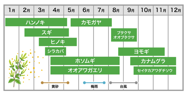 花粉カレンダー