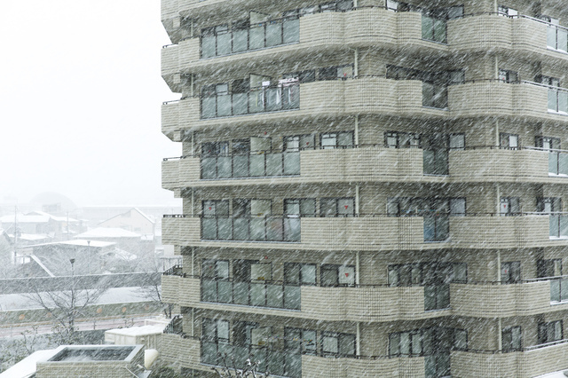 雪の日