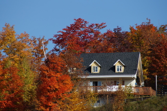 紅葉の中に建つ家