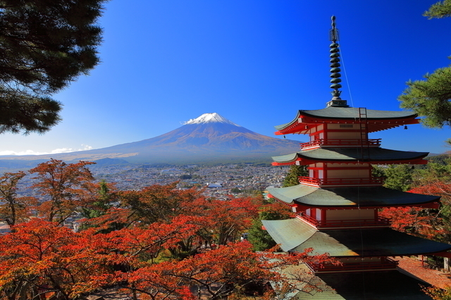 紅葉と富士山