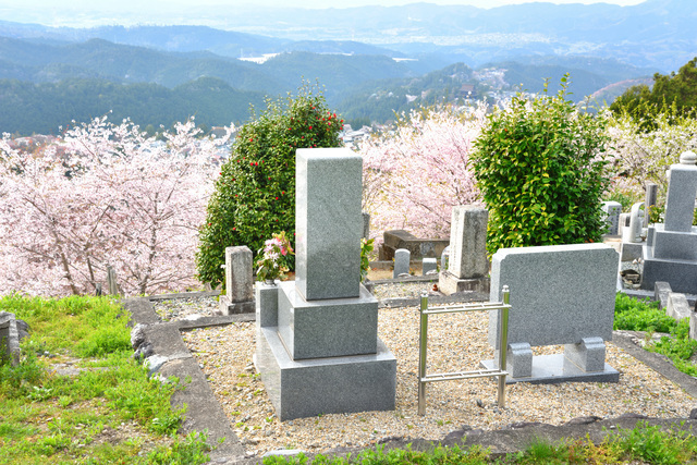 春のお墓
