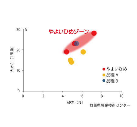 やよいひめの粒の大きさ