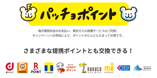 パッチョポイント