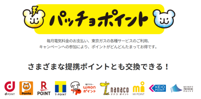 パッチョポイント