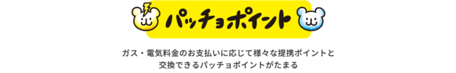 パッチョポイント