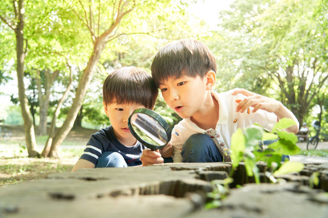 観察する子どもたち