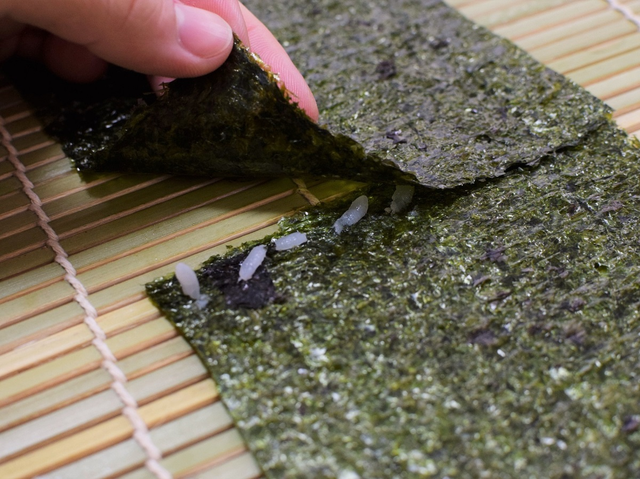 海苔を繋げる