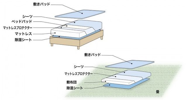 【睡眠のプロに聞く】マットレスや布団のカビの原因と対策とは? | 東京ガス ウチコト