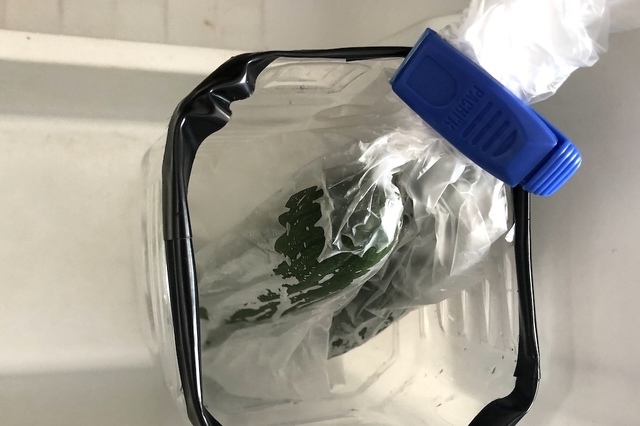 きゅうりの切り口を上にして立たせた状況で保存する