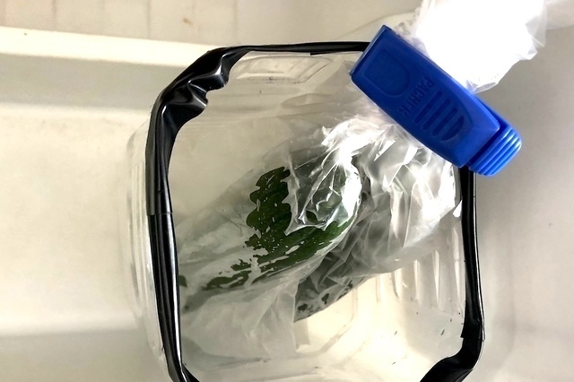 野菜室にきゅうりを保存する方法
