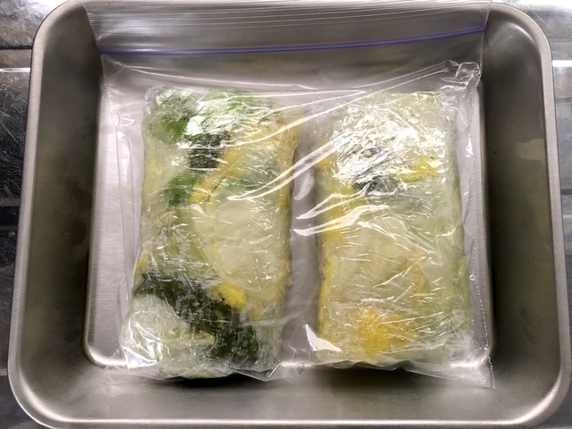冷凍用保存袋に白菜を入れ、バットの上に平らに寝かせて置く
