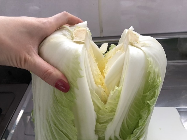 白菜を半分に切る