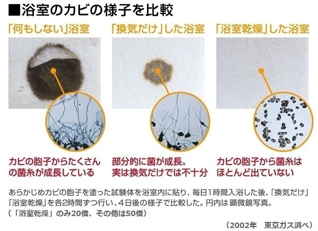 浴室のカビが乾燥によって減少していく様子