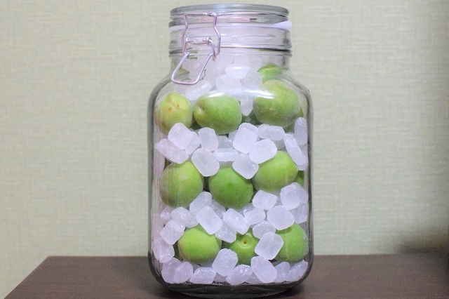 氷砂糖と一緒に瓶に詰められた青梅