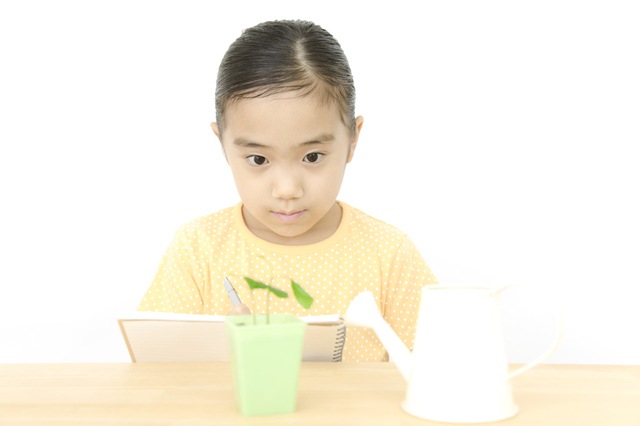 植物を観察する女の子