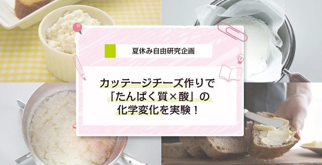 カッテージチーズ作りで化学変化を実験