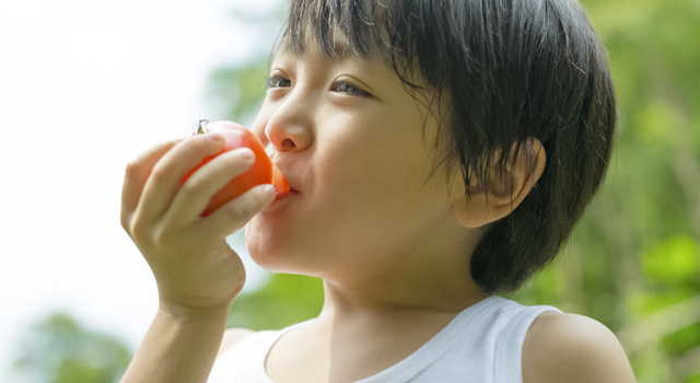 野菜を食べる男の子