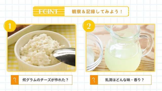 完成したカッテージチーズを観察&記録しよう