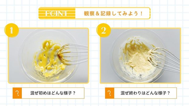 完成したマヨネーズを観察&記録してみよう