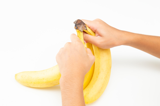 バナナを房から切り離そうとしているところ