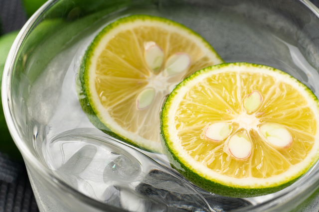 おいしいハイボールの作り方 おすすめ簡単アレンジやおつまみレシピもご紹介 東京ガス ウチコト