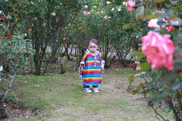 Retina pixta 6490219 s