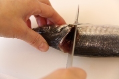 返して同様に切り、頭を落とす