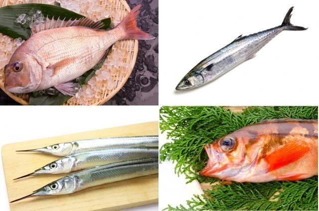 春が旬の魚