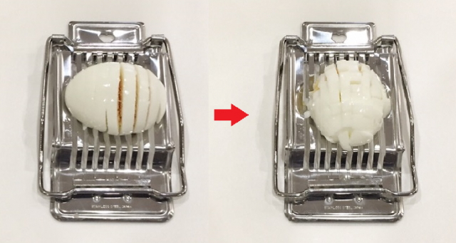Retina retina s egg2