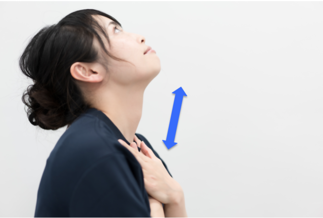 首前 2