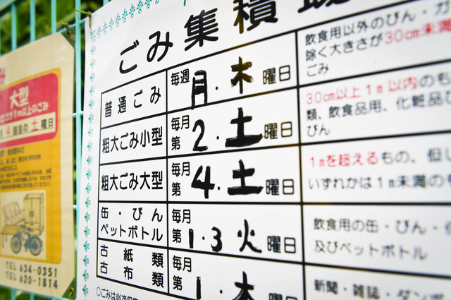 Retina pixta 32072751 s