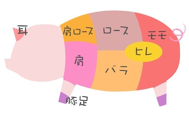 豚肉の部位