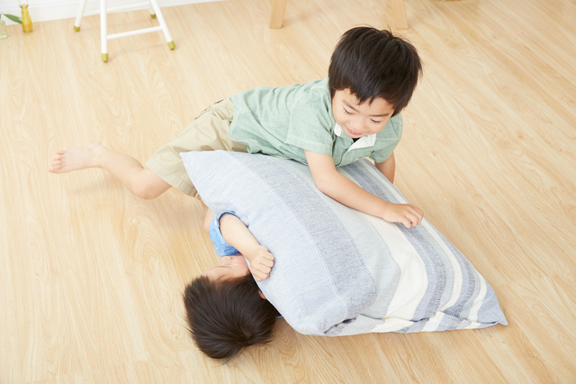 兄弟ケンカ