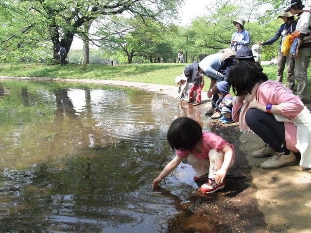 自主保育 原宿おひさまの会