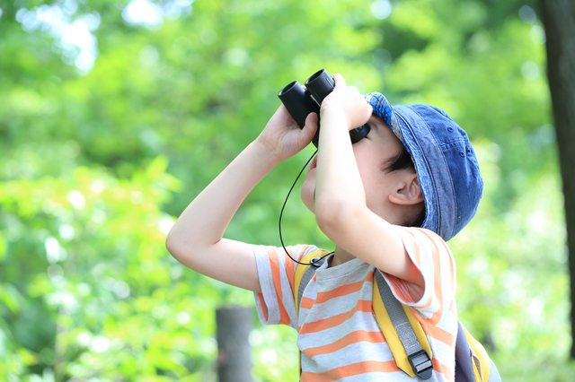 双眼鏡を覗き見る子ども