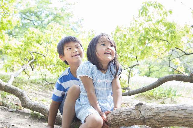 木にまたがる子ども