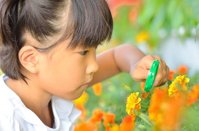 虫眼鏡で花を観察する子ども
