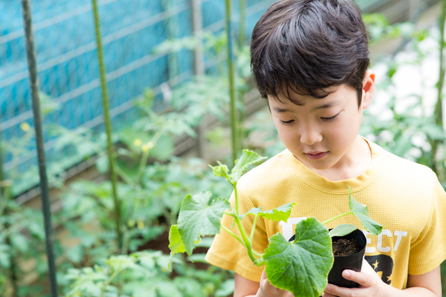 植物や生き物などの細かな変化に気が付ける子