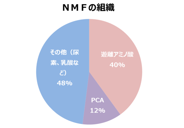 Retina nmf